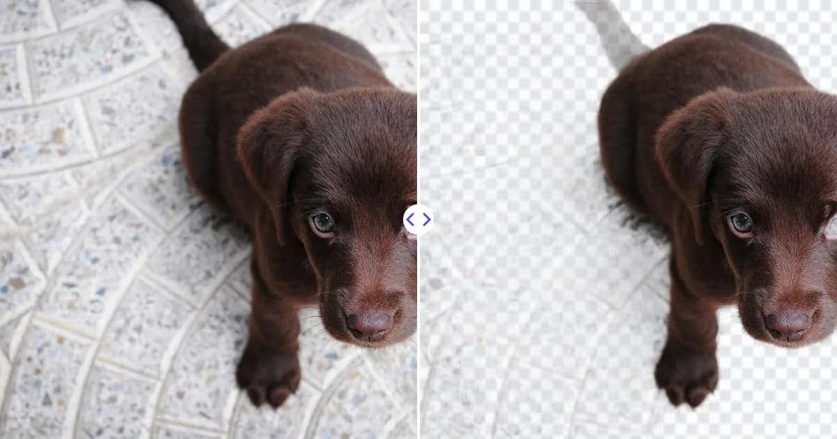 How to Make Stickers from Photos: Digital and Printed Stickers