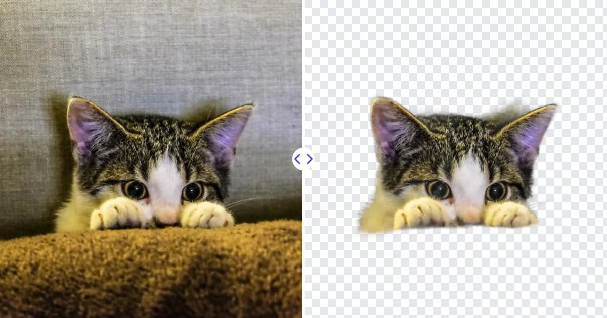 Sticker Maker from Photo - Turn Any Picture into a Cutout Sticker