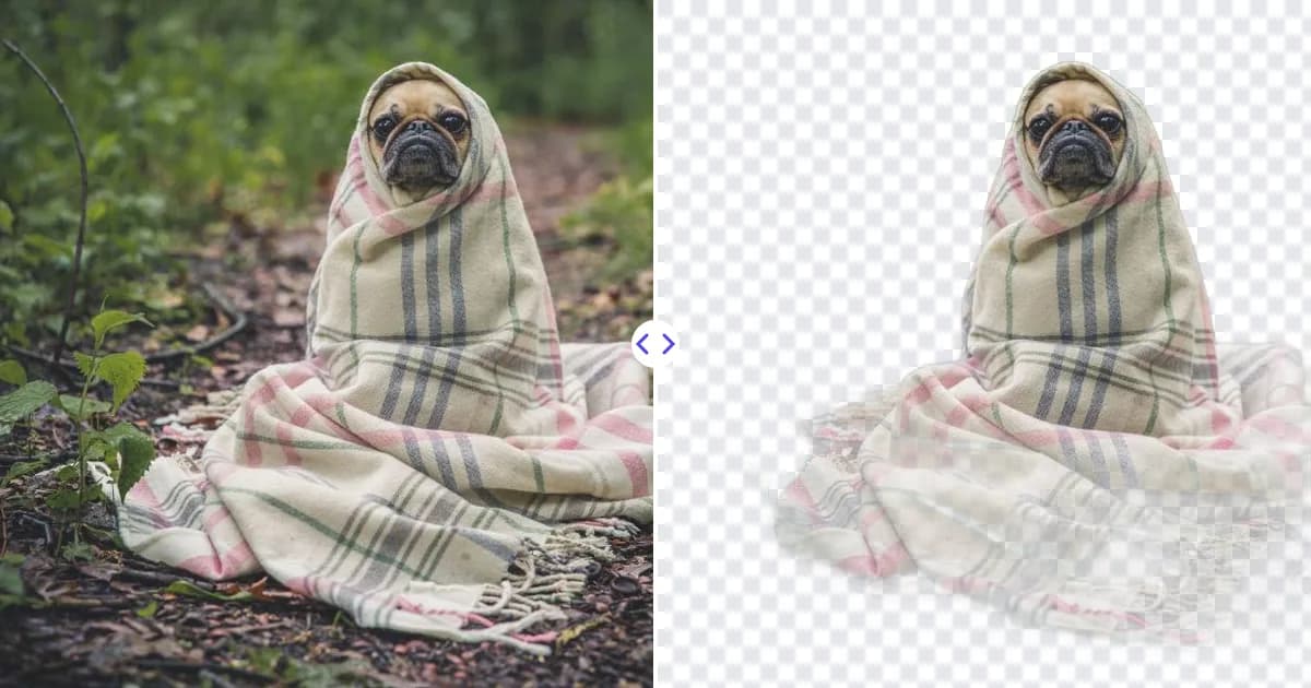 Pet Photo Background Remover - Cut Out Dogs, Cats and More